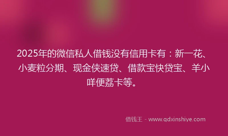 2025年的微信私人借钱没有信用卡有：新一花、小麦粒分期、现金侠速贷、借款宝快贷宝、羊小咩便荔卡等。