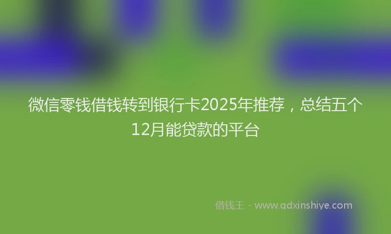 微信零钱借钱转到银行卡2025年推荐，总结五个12月能贷款的平台