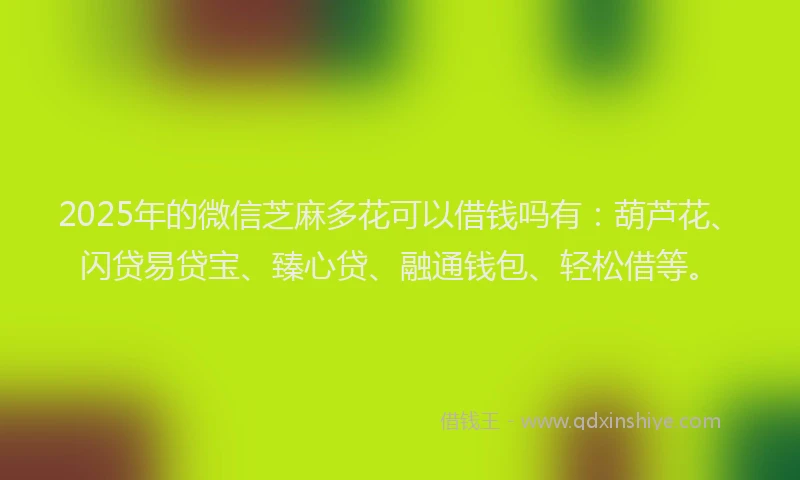 2025年的微信芝麻多花可以借钱吗有：葫芦花、闪贷易贷宝、臻心贷、融通钱包、轻松借等。