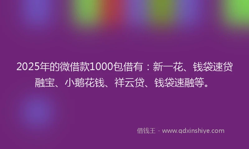2025年的微借款1000包借有：新一花、钱袋速贷融宝、小鹅花钱、祥云贷、钱袋速融等。