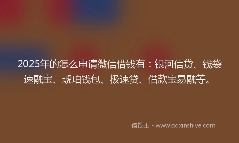 2025年的怎么申请微信借钱有：银河信贷、钱袋速融宝、琥珀钱包、极速贷、借款宝易融等。