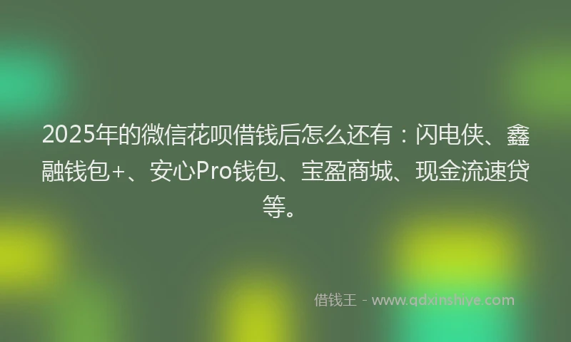 2025年的微信花呗借钱后怎么还有：闪电侠、鑫融钱包+、安心Pro钱包、宝盈商城、现金流速贷等。