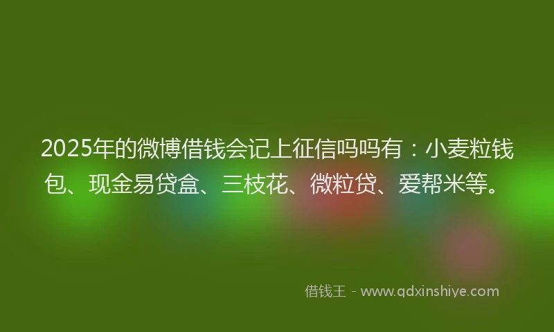 2025年的微博借钱会记上征信吗吗有：小麦粒钱包、现金易贷盒、三枝花、微粒贷、爱帮米等。