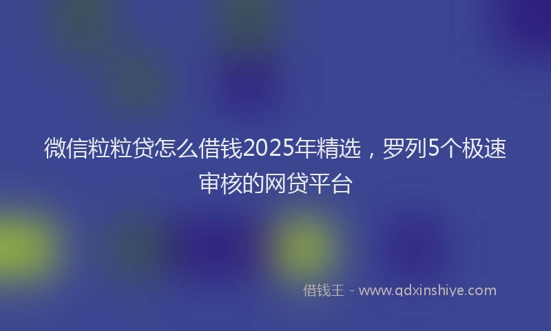 微信粒粒贷怎么借钱2025年精选，罗列5个极速审核的网贷平台