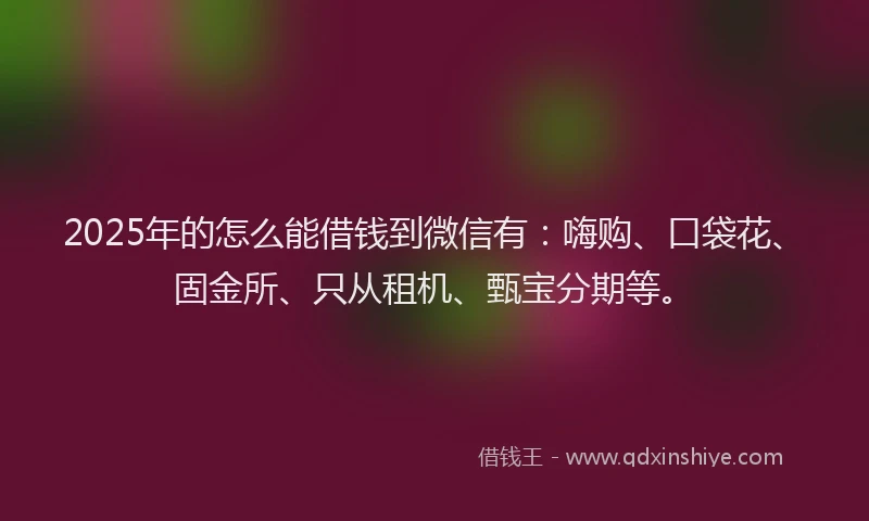 2025年的怎么能借钱到微信有：嗨购、口袋花、固金所、只从租机、甄宝分期等。