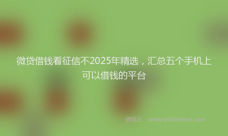 微贷借钱看征信不2025年精选，汇总五个手机上可以借钱的平台