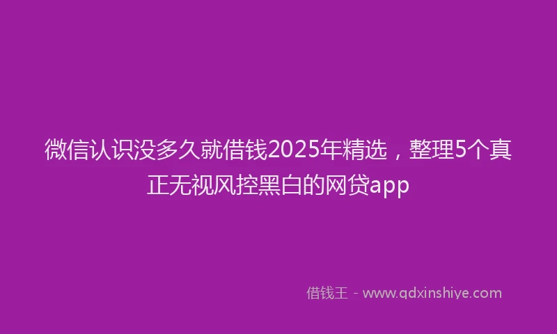 微信认识没多久就借钱2025年精选，整理5个真正无视风控黑白的网贷app