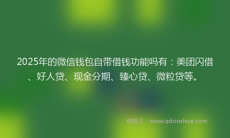 2025年的微信钱包自带借钱功能吗有：美团闪借、好人贷、现金分期、臻心贷、微粒贷等。