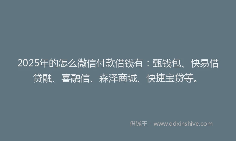 2025年的怎么微信付款借钱有：甄钱包、快易借贷融、喜融信、森泽商城、快捷宝贷等。