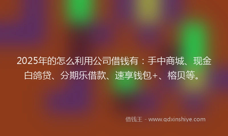 2025年的怎么利用公司借钱有：手中商城、现金白鸽贷、分期乐借款、速享钱包+、榕贝等。