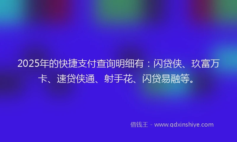2025年的快捷支付查询明细有：闪贷侠、玖富万卡、速贷侠通、射手花、闪贷易融等。