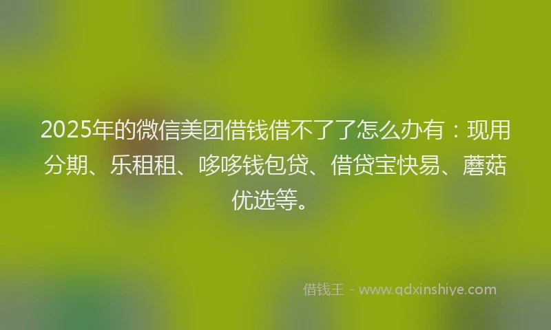 2025年的微信美团借钱借不了了怎么办有：现用分期、乐租租、哆哆钱包贷、借贷宝快易、蘑菇优选等。