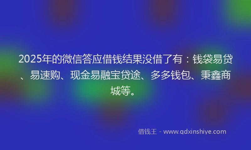 2025年的微信答应借钱结果没借了有：钱袋易贷、易速购、现金易融宝贷途、多多钱包、秉鑫商城等。