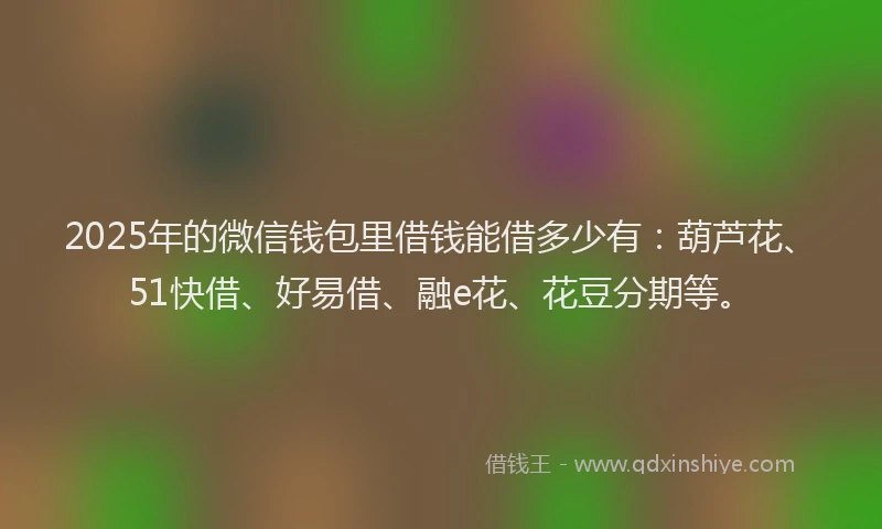 2025年的微信钱包里借钱能借多少有：葫芦花、51快借、好易借、融e花、花豆分期等。