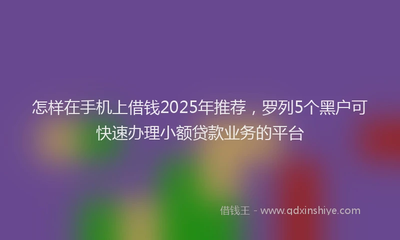 怎样在手机上借钱2025年推荐，罗列5个黑户可快速办理小额贷款业务的平台