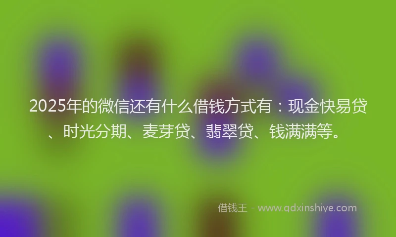 2025年的微信还有什么借钱方式有：现金快易贷、时光分期、麦芽贷、翡翠贷、钱满满等。