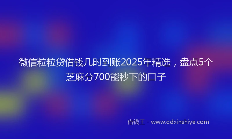 微信粒粒贷借钱几时到账2025年精选，盘点5个芝麻分700能秒下的口子
