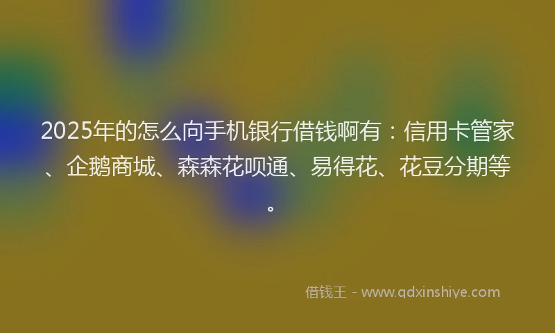 2025年的怎么向手机银行借钱啊有：信用卡管家、企鹅商城、森森花呗通、易得花、花豆分期等。