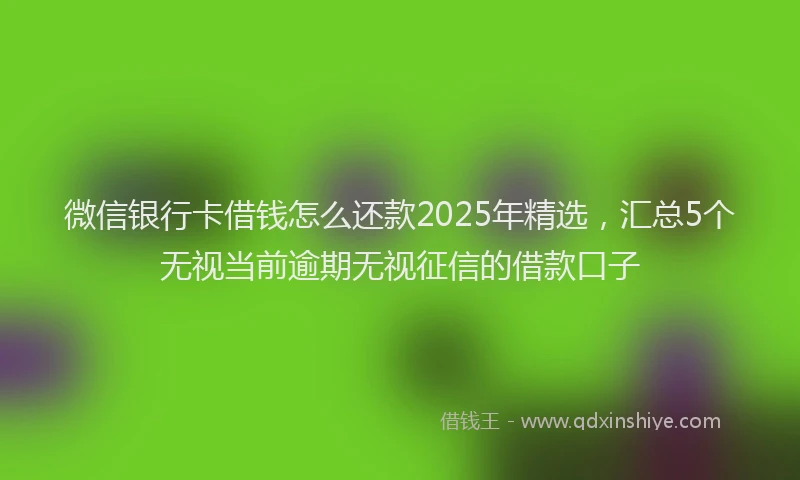 微信银行卡借钱怎么还款2025年精选，汇总5个无视当前逾期无视征信的借款口子