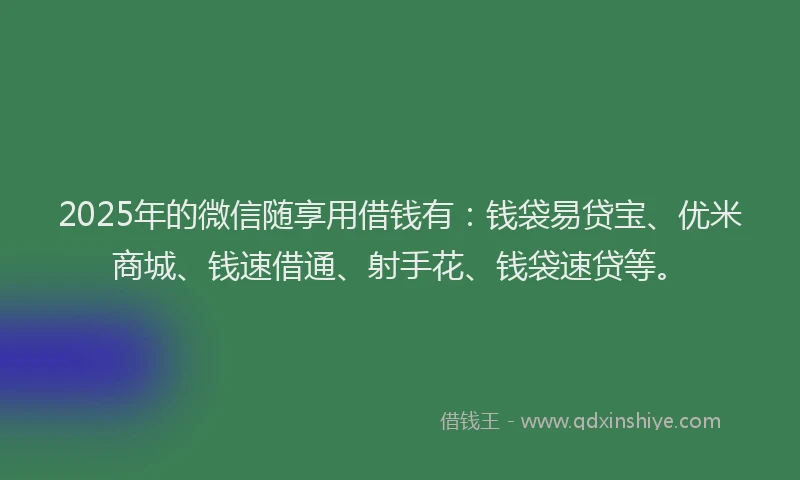 2025年的微信随享用借钱有：钱袋易贷宝、优米商城、钱速借通、射手花、钱袋速贷等。
