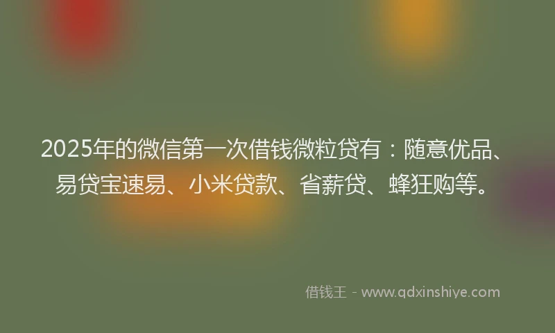 2025年的微信第一次借钱微粒贷有：随意优品、易贷宝速易、小米贷款、省薪贷、蜂狂购等。