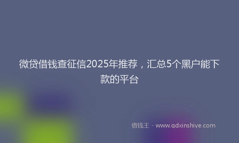 微贷借钱查征信2025年推荐，汇总5个黑户能下款的平台