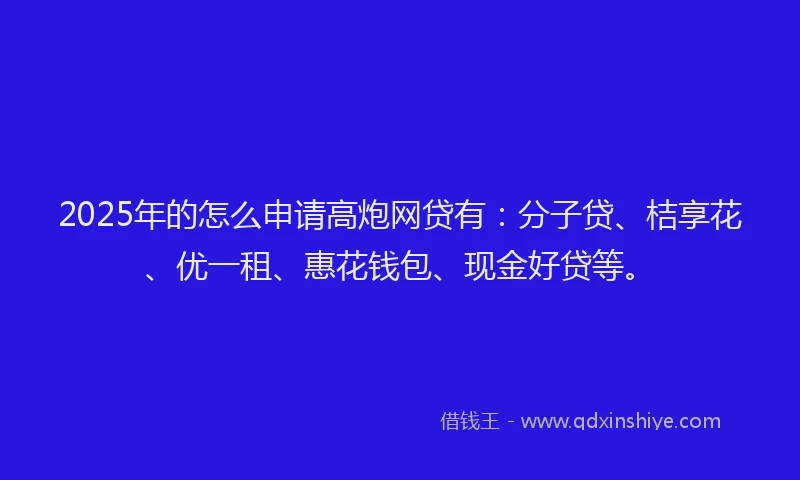 2025年的怎么申请高炮网贷有：分子贷、桔享花、优一租、惠花钱包、现金好贷等。