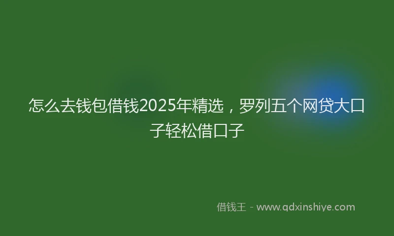 怎么去钱包借钱2025年精选，罗列五个网贷大口子轻松借口子