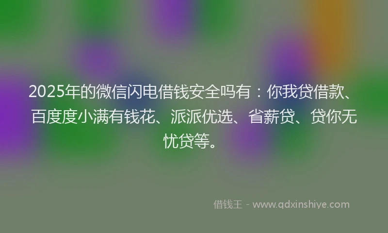 2025年的微信闪电借钱安全吗有：你我贷借款、百度度小满有钱花、派派优选、省薪贷、贷你无忧贷等。