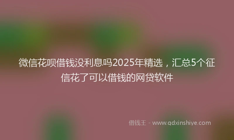 微信花呗借钱没利息吗2025年精选，汇总5个征信花了可以借钱的网贷软件