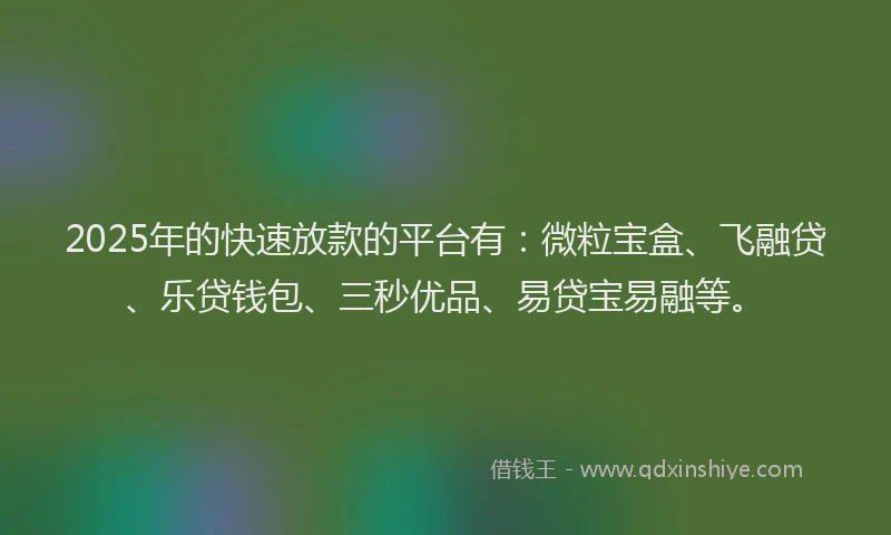2025年的快速放款的平台有：微粒宝盒、飞融贷、乐贷钱包、三秒优品、易贷宝易融等。