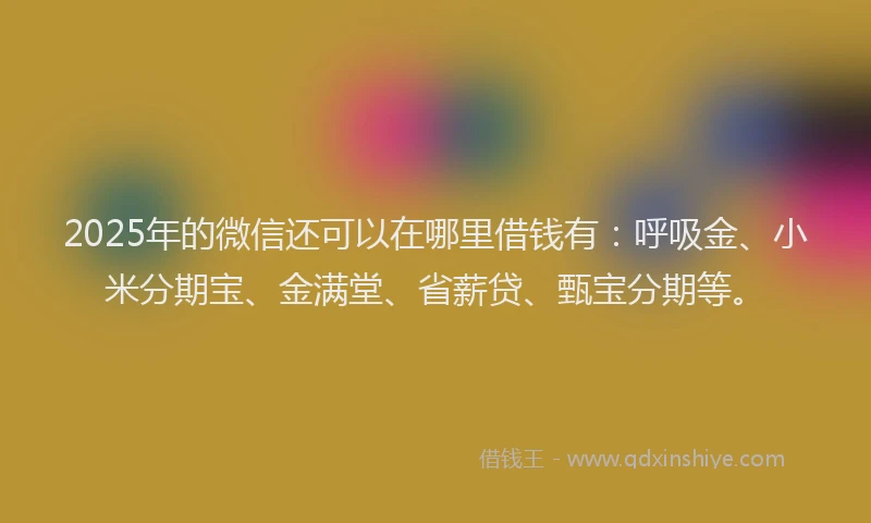 2025年的微信还可以在哪里借钱有：呼吸金、小米分期宝、金满堂、省薪贷、甄宝分期等。