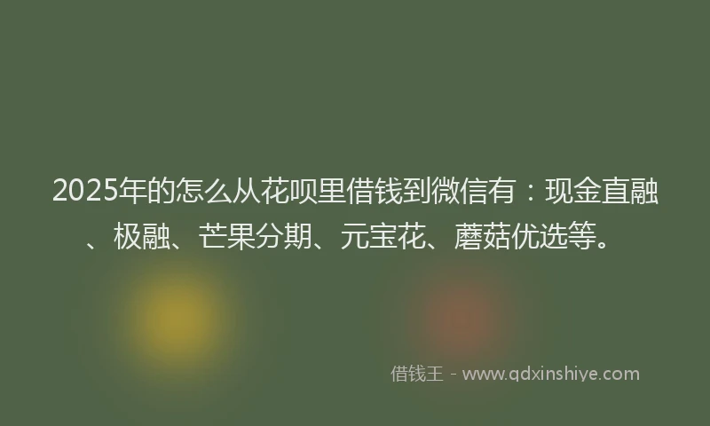 2025年的怎么从花呗里借钱到微信有：现金直融、极融、芒果分期、元宝花、蘑菇优选等。