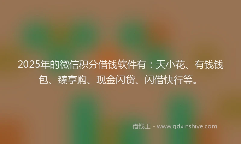 2025年的微信积分借钱软件有：天小花、有钱钱包、臻享购、现金闪贷、闪借快行等。