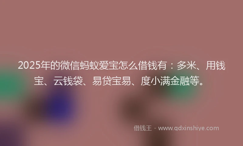 2025年的微信蚂蚁爱宝怎么借钱有：多米、用钱宝、云钱袋、易贷宝易、度小满金融等。