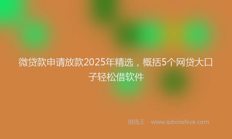 微贷款申请放款2025年精选，概括5个网贷大口子轻松借软件