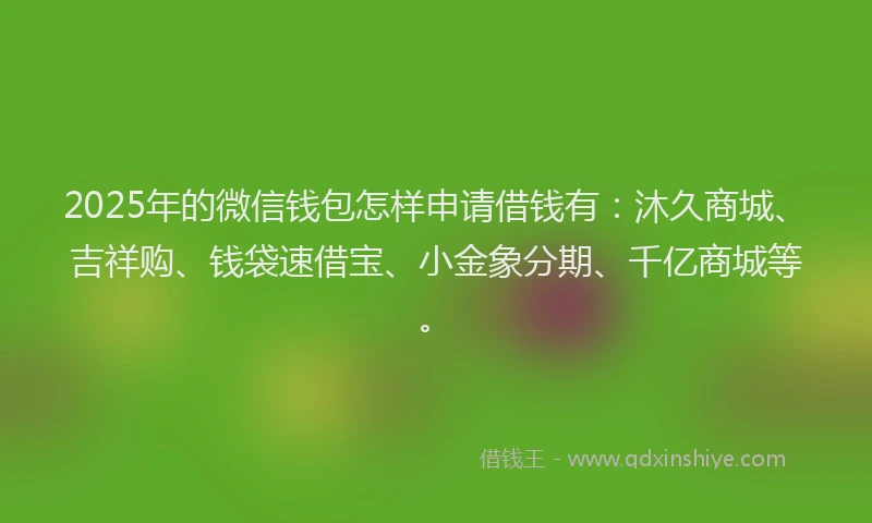 2025年的微信钱包怎样申请借钱有：沐久商城、吉祥购、钱袋速借宝、小金象分期、千亿商城等。