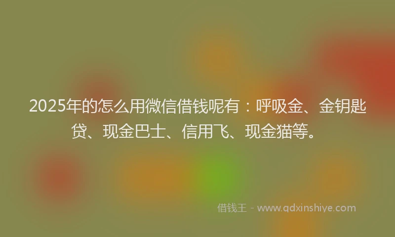 2025年的怎么用微信借钱呢有：呼吸金、金钥匙贷、现金巴士、信用飞、现金猫等。