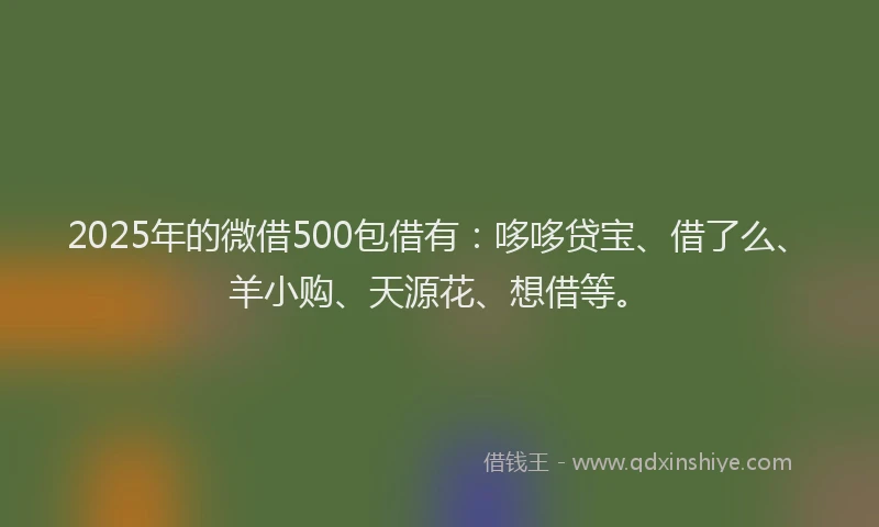2025年的微借500包借有：哆哆贷宝、借了么、羊小购、天源花、想借等。