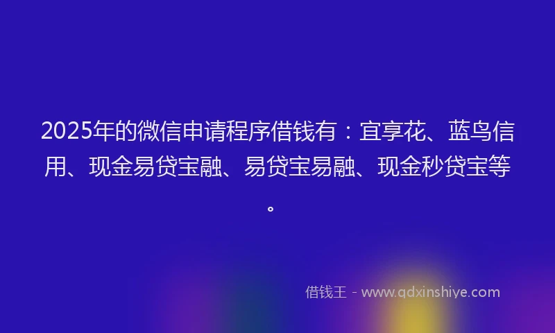 2025年的微信申请程序借钱有：宜享花、蓝鸟信用、现金易贷宝融、易贷宝易融、现金秒贷宝等。