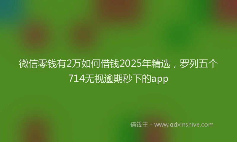 微信零钱有2万如何借钱2025年精选，罗列五个714无视逾期秒下的app