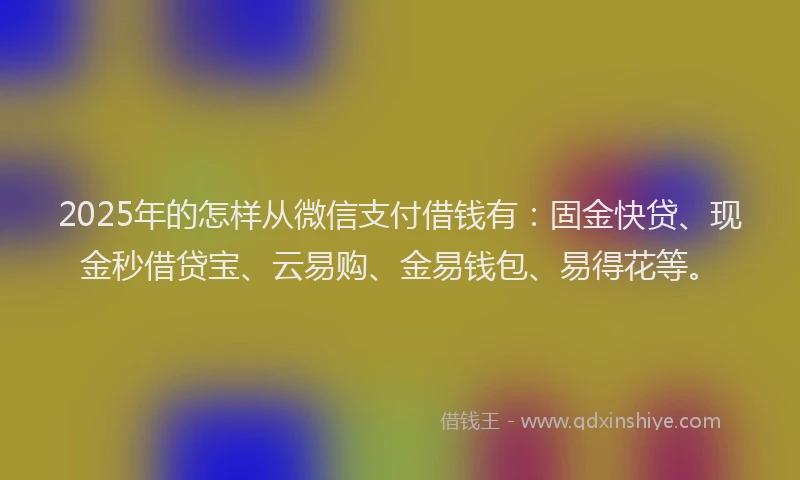 2025年的怎样从微信支付借钱有：固金快贷、现金秒借贷宝、云易购、金易钱包、易得花等。