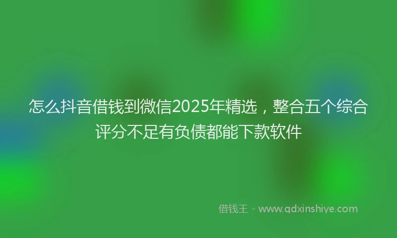 怎么抖音借钱到微信2025年精选，整合五个综合评分不足有负债都能下款软件