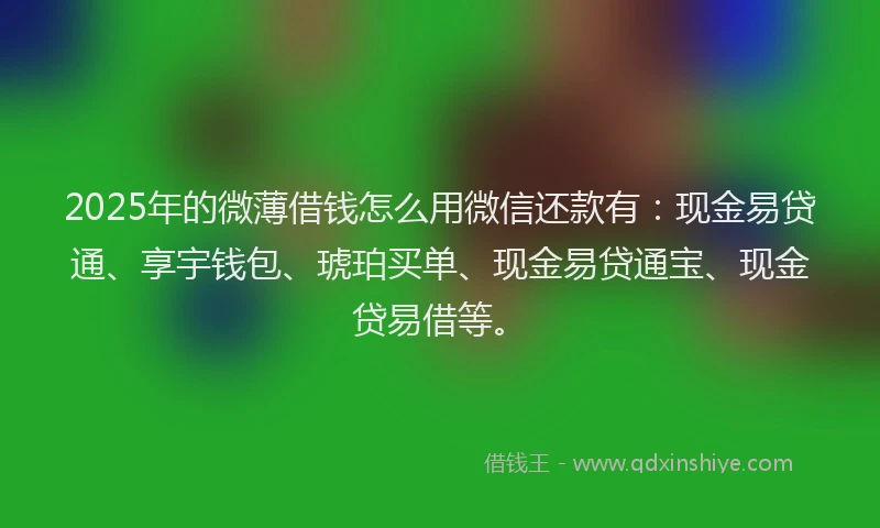 2025年的微薄借钱怎么用微信还款有：现金易贷通、享宇钱包、琥珀买单、现金易贷通宝、现金贷易借等。