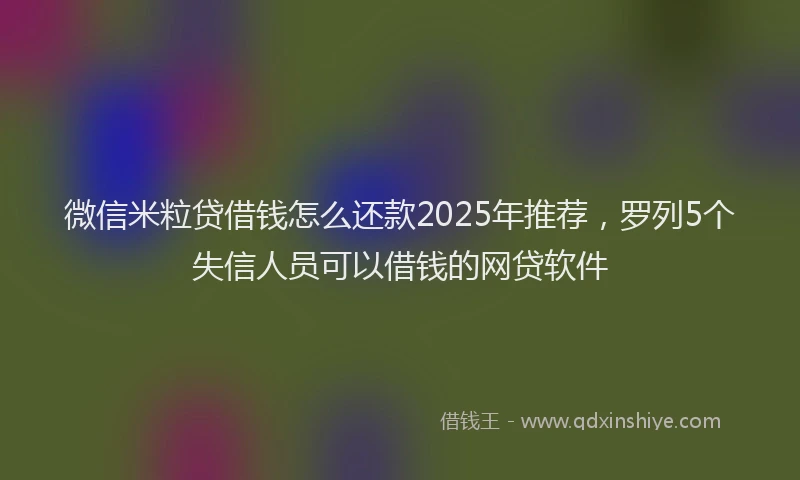 微信米粒贷借钱怎么还款2025年推荐，罗列5个失信人员可以借钱的网贷软件