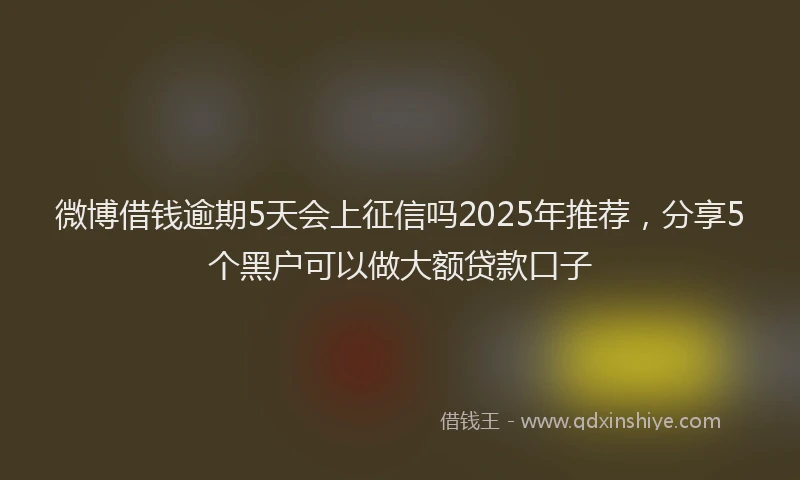 微博借钱逾期5天会上征信吗2025年推荐，分享5个黑户可以做大额贷款口子