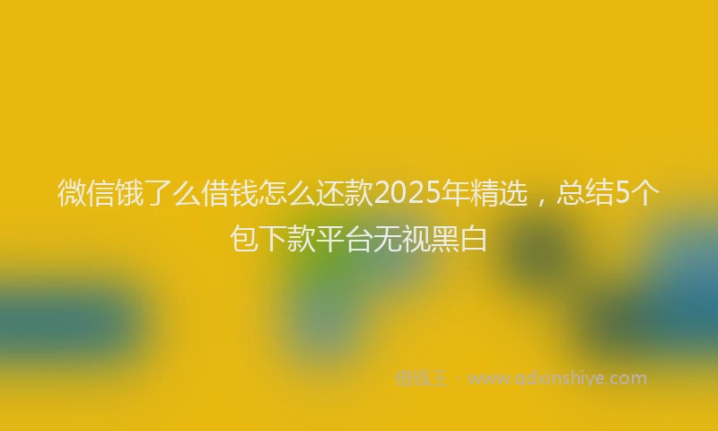 微信饿了么借钱怎么还款2025年精选，总结5个包下款平台无视黑白