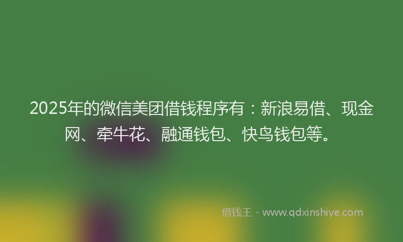 2025年的微信美团借钱程序有：新浪易借、现金网、牵牛花、融通钱包、快鸟钱包等。