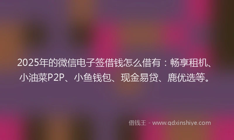 2025年的微信电子签借钱怎么借有：畅享租机、小油菜P2P、小鱼钱包、现金易贷、鹿优选等。