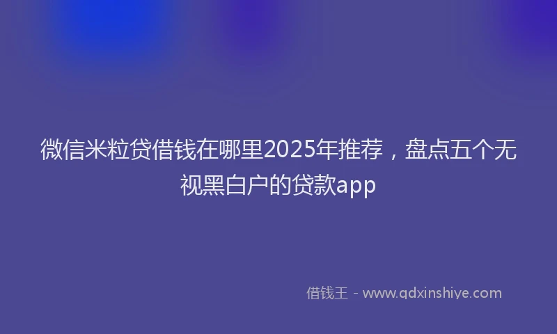 微信米粒贷借钱在哪里2025年推荐，盘点五个无视黑白户的贷款app